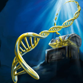 Le séquençage de l’ADN du microbiome océanique révèle un trésor de nouvelles enzymes et molécules bioactives. 